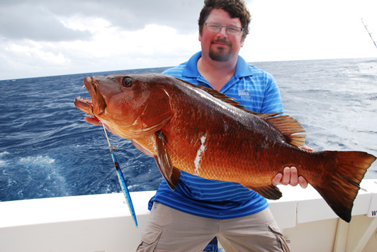 Cubera snapper jigging cancun